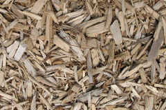 biomass boilers Seedley